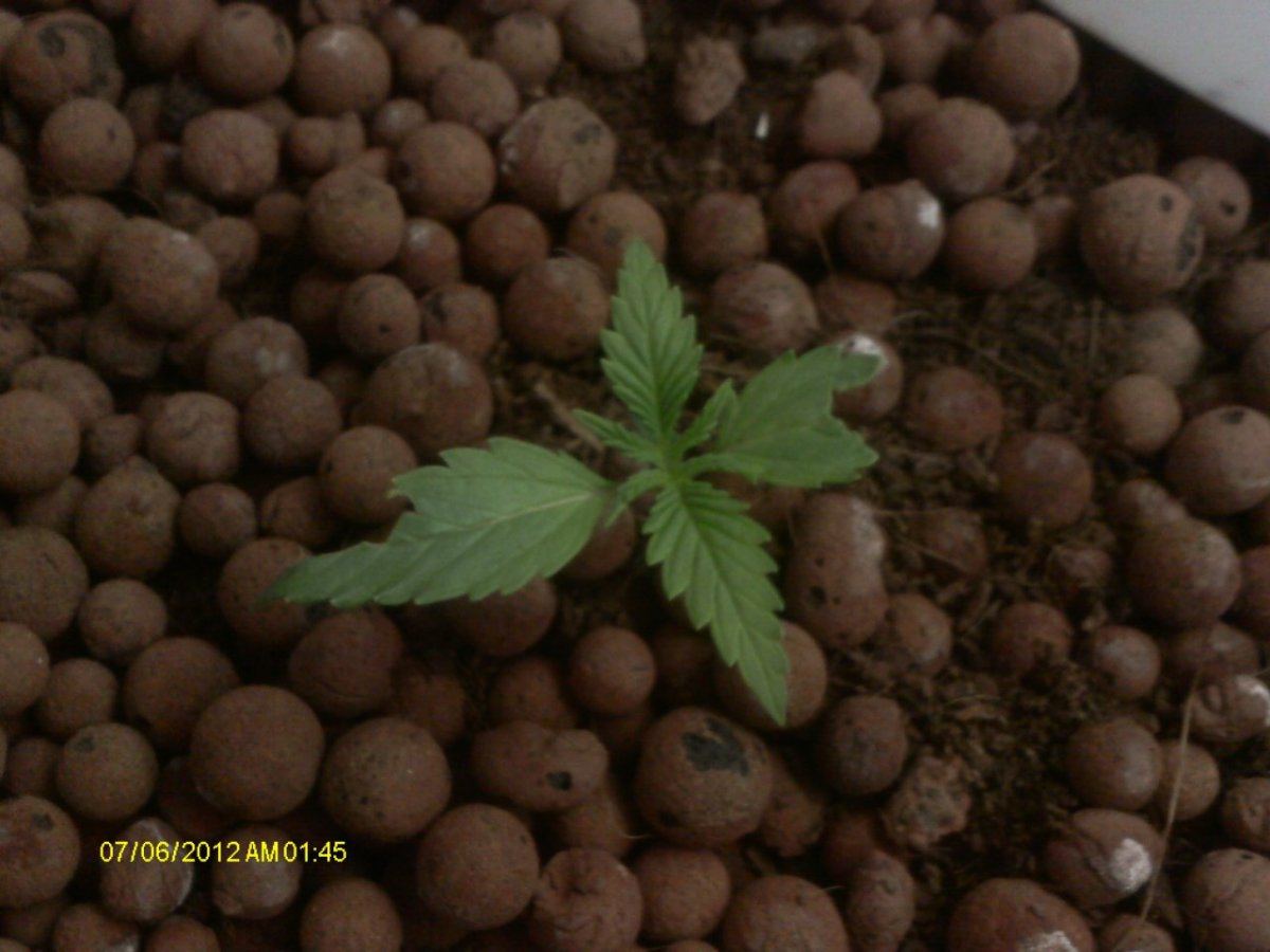 IMAG0259