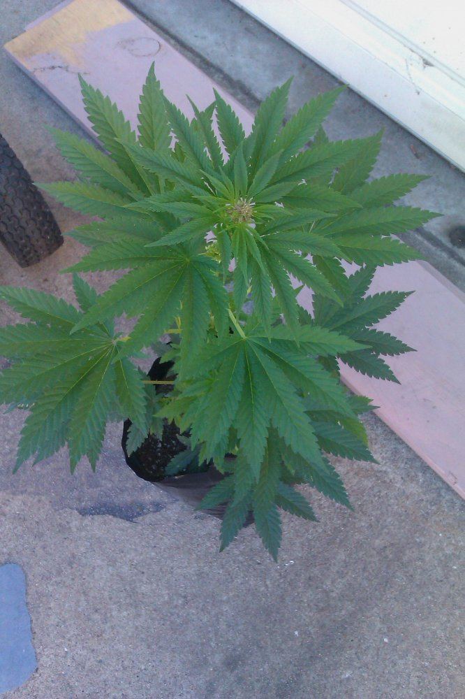 IMAG0260