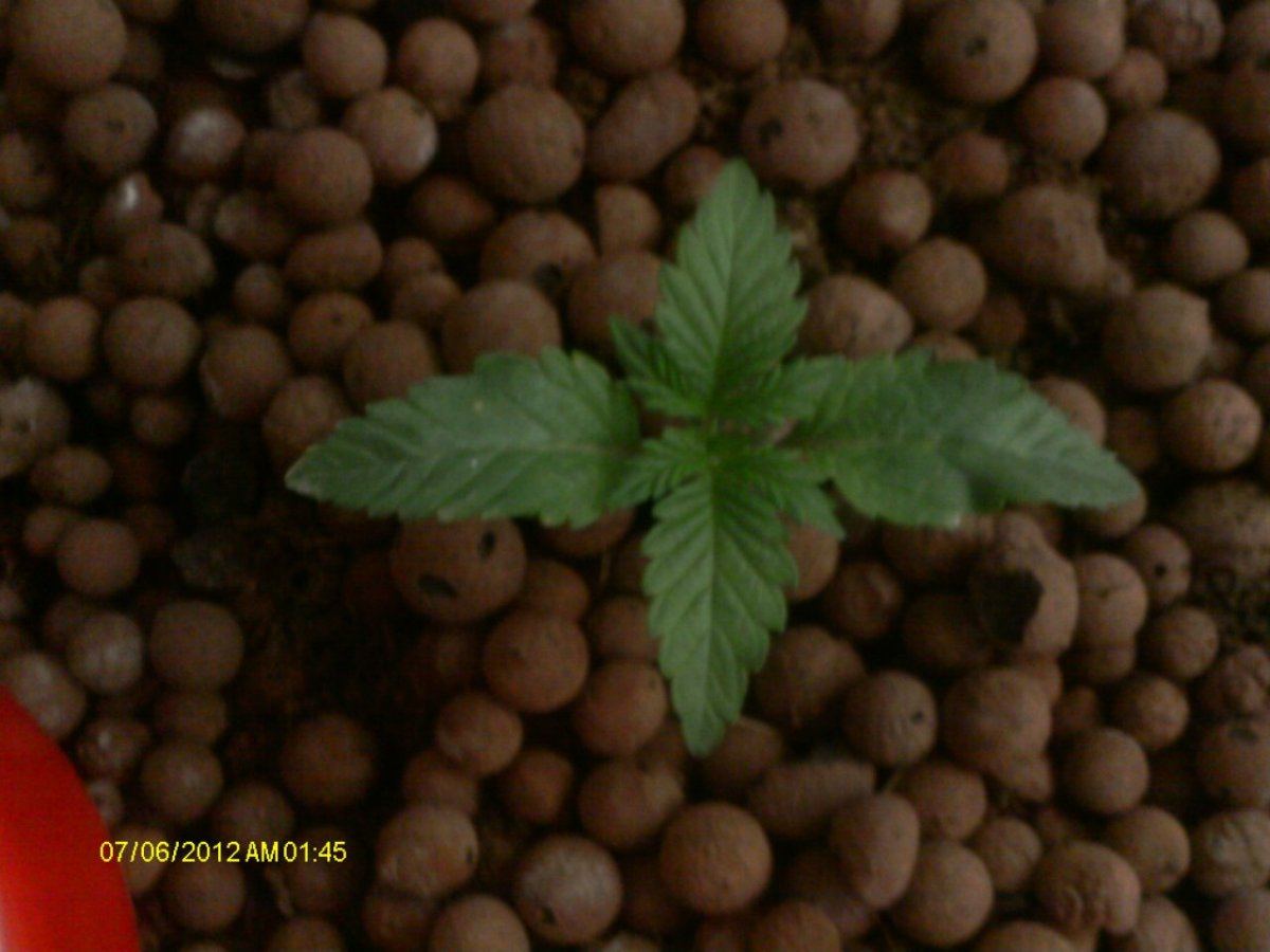 IMAG0260