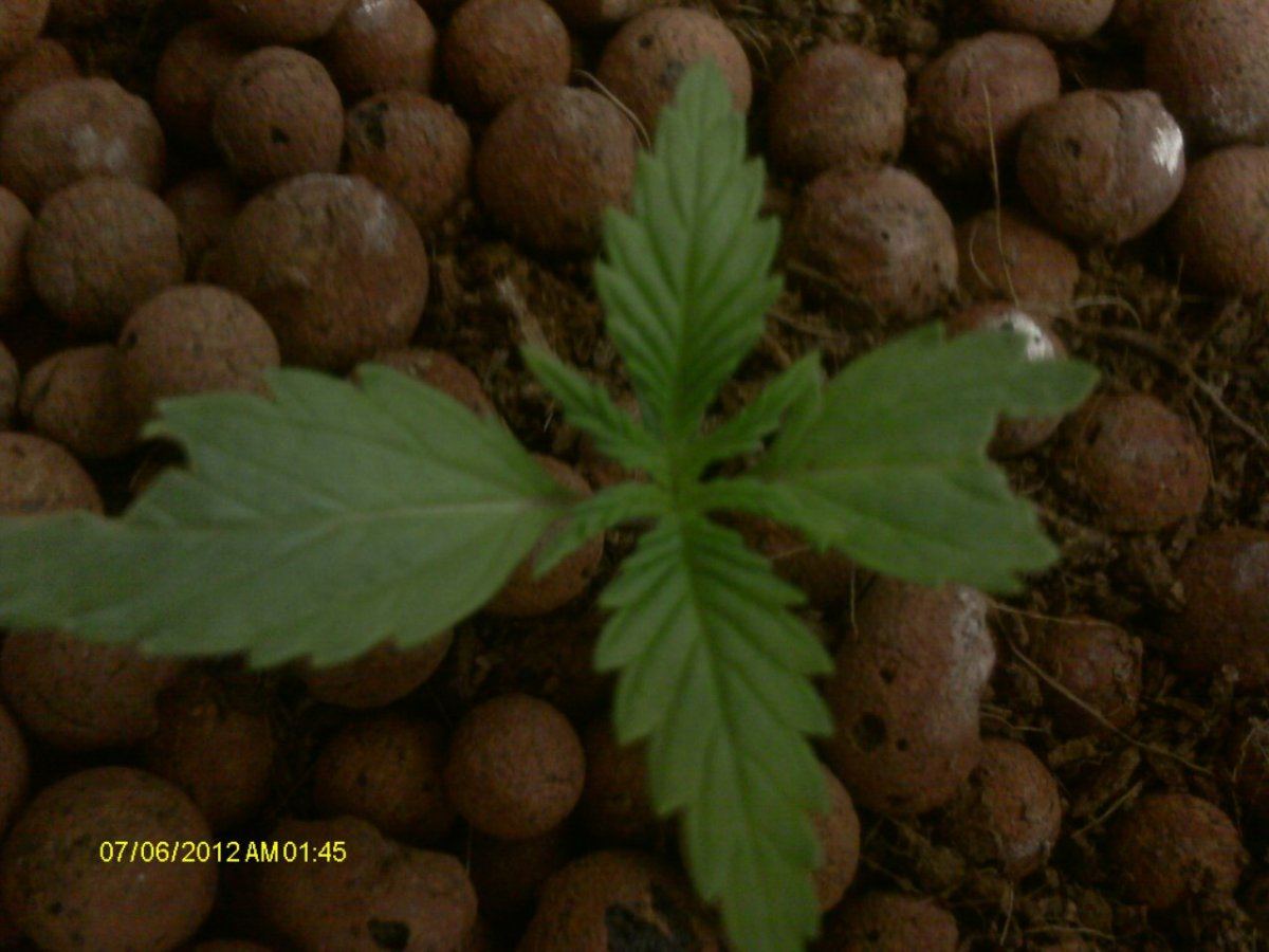 IMAG0262