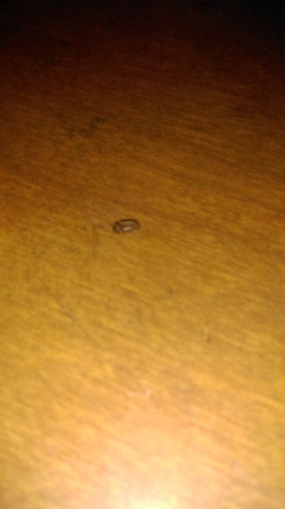 IMAG0262