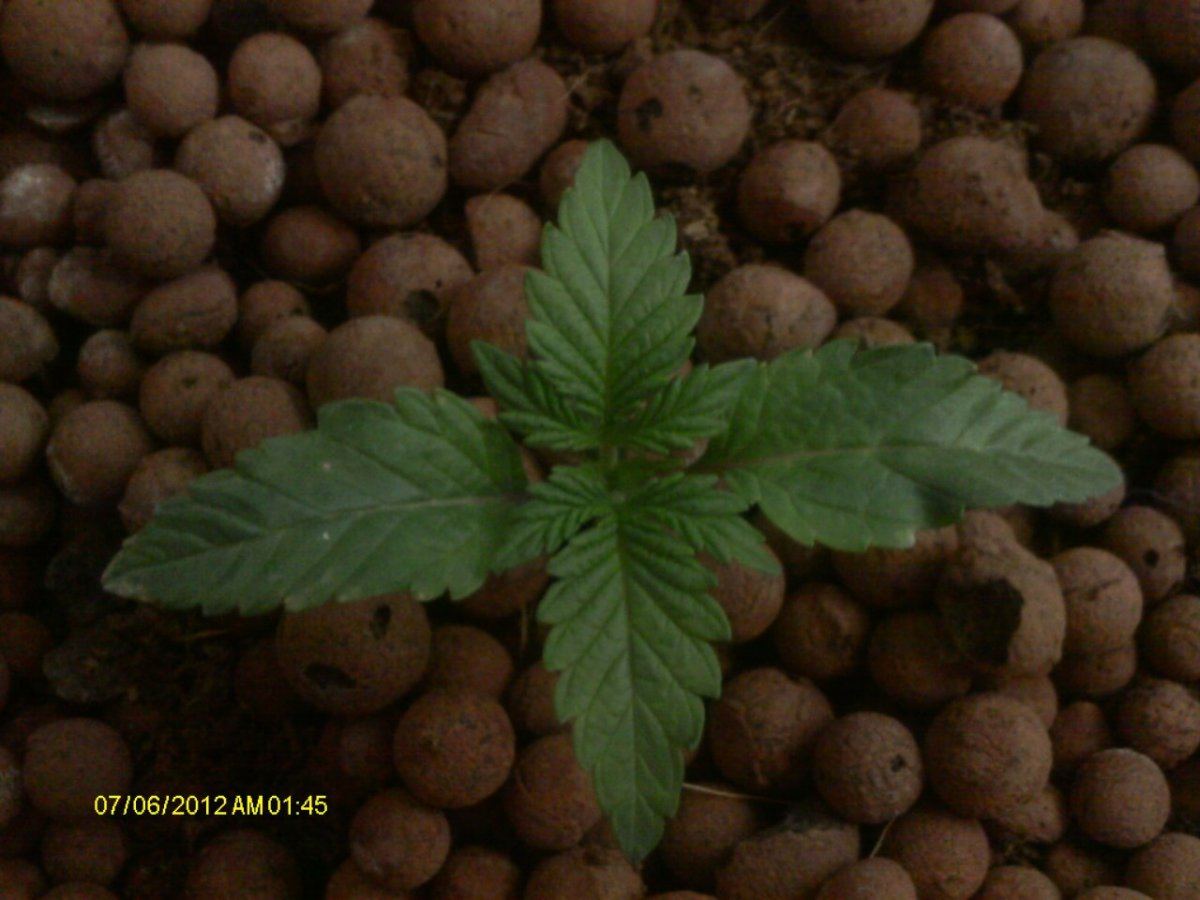 IMAG0263