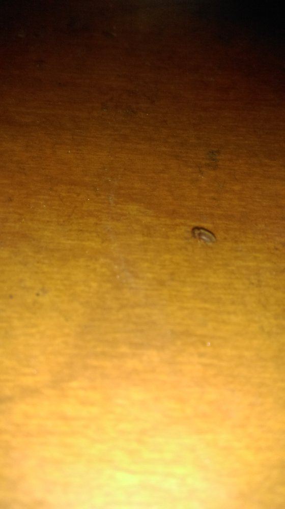 IMAG0263