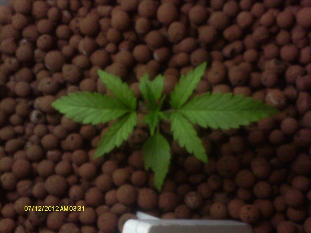 IMAG0265