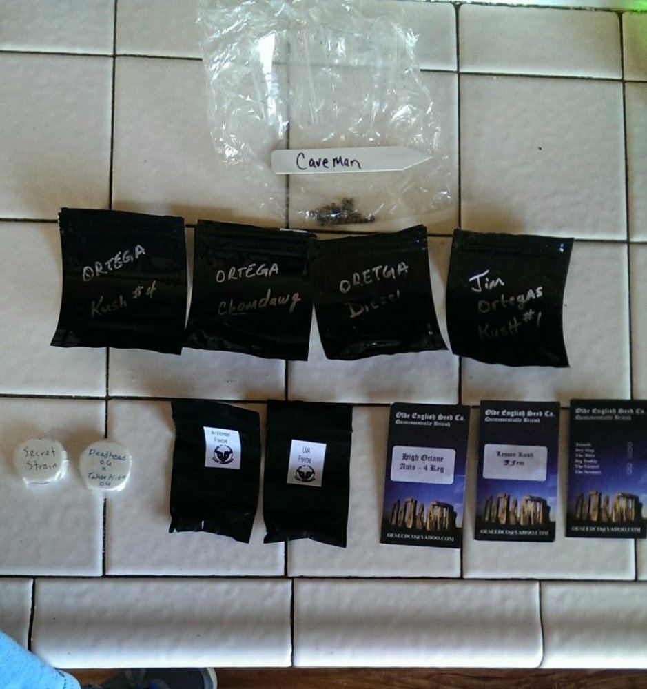 IMAG0265 1