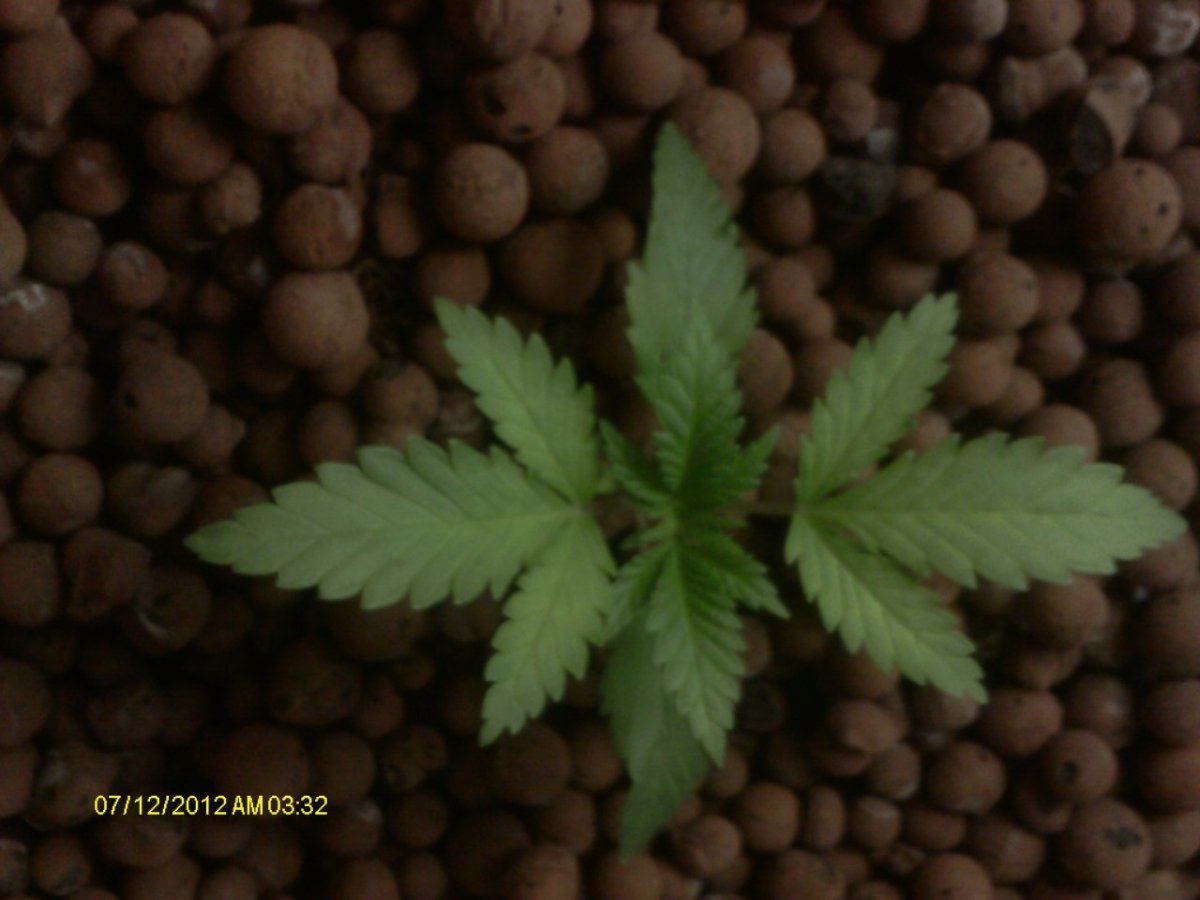 IMAG0266