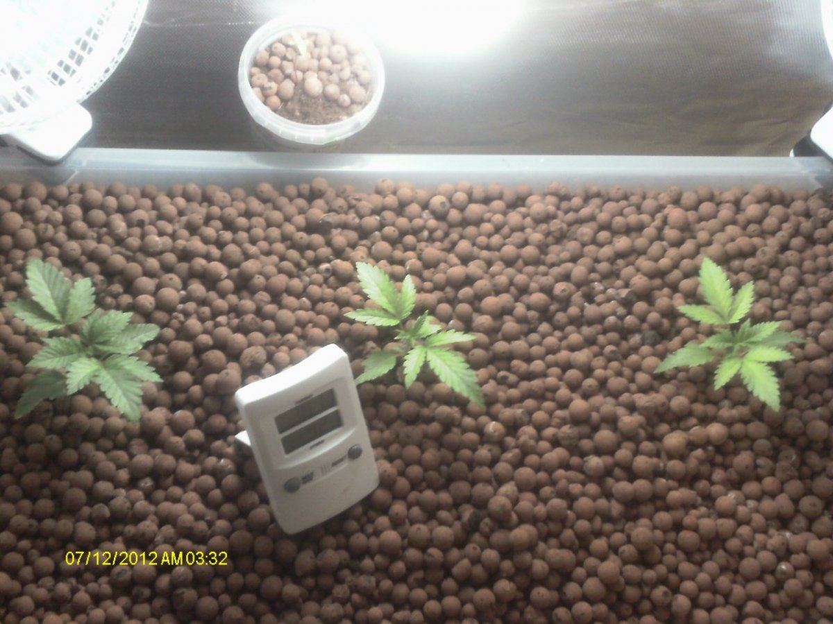 IMAG0267