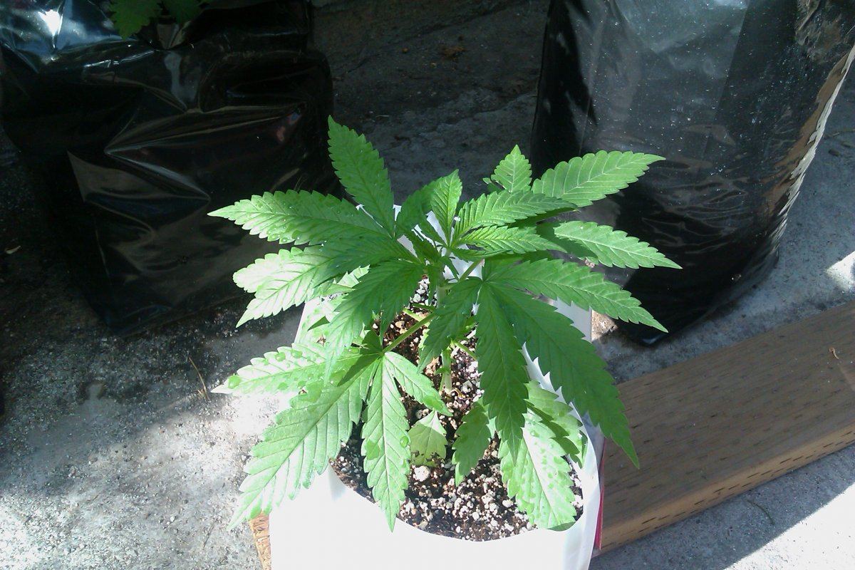 IMAG0270