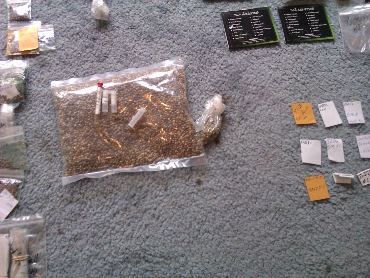 IMAG0272