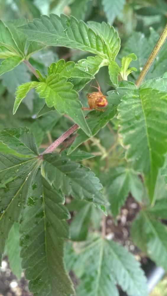 IMAG0273
