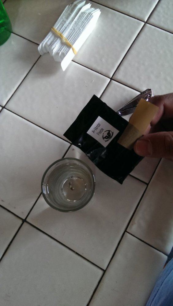 IMAG0279