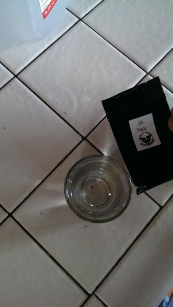 IMAG0280