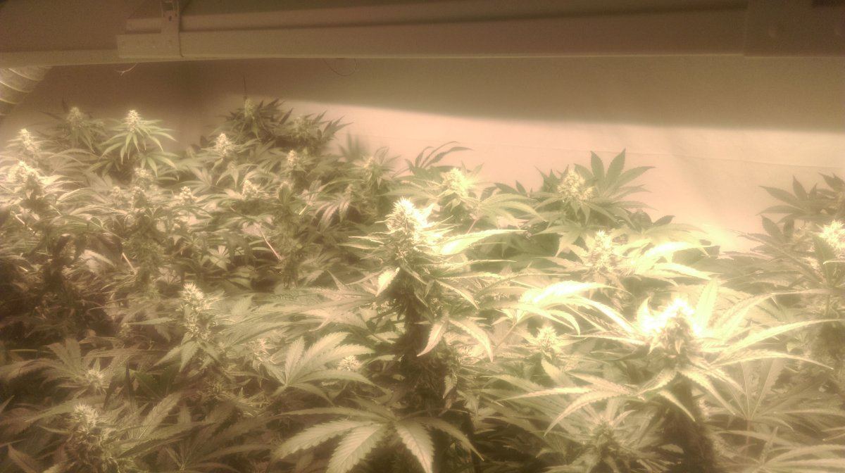 IMAG0285