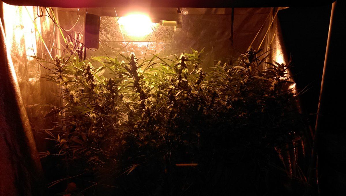 IMAG0285