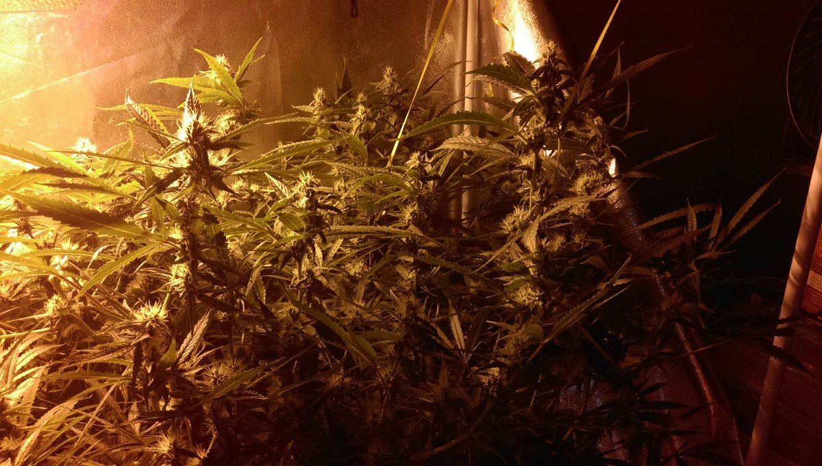 IMAG0288