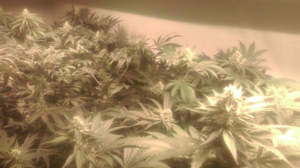 IMAG0291