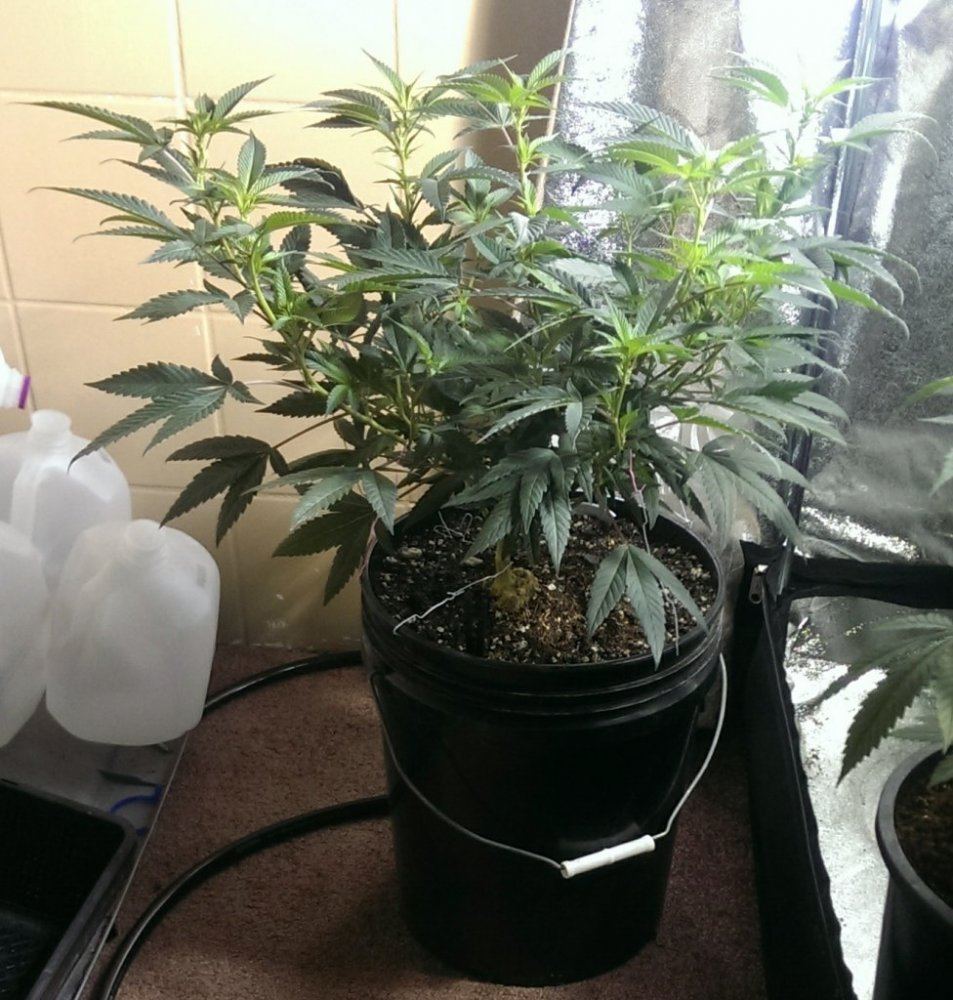 IMAG0305 1