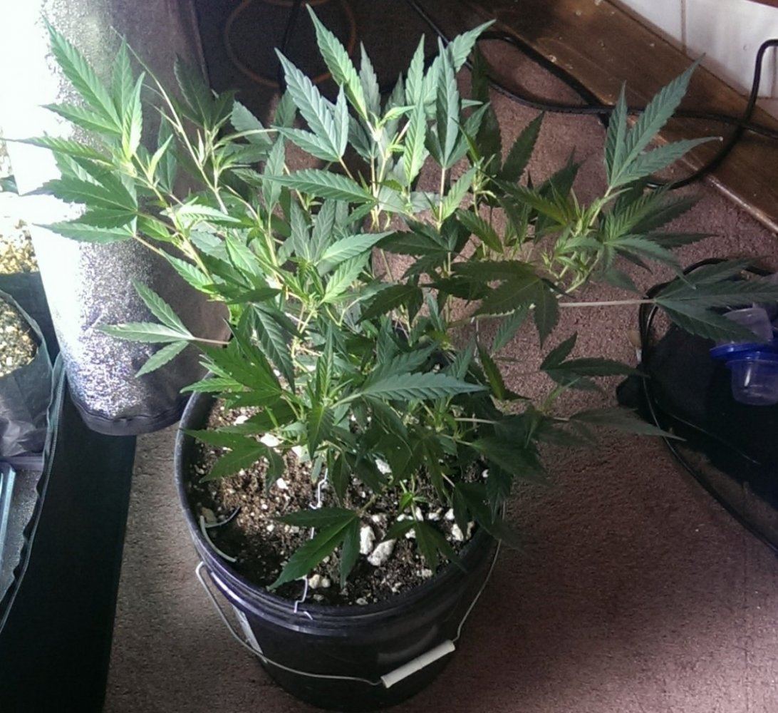IMAG0307 1