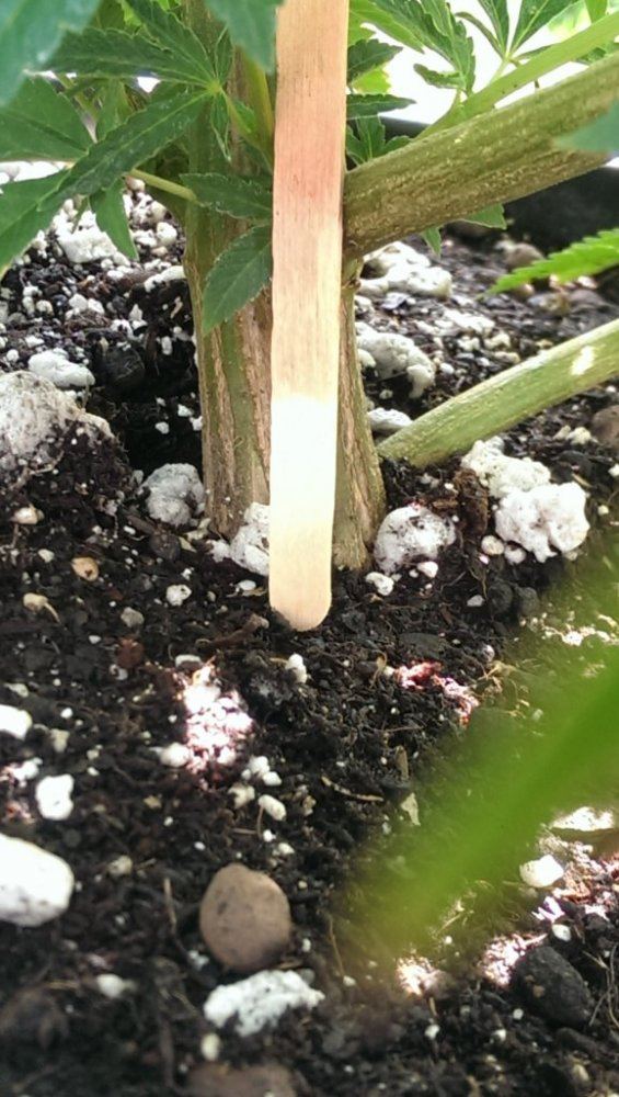 IMAG0325