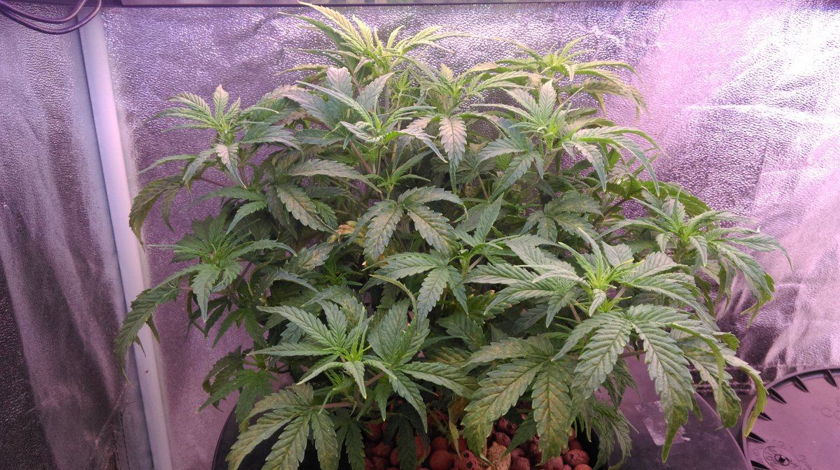 IMAG0332