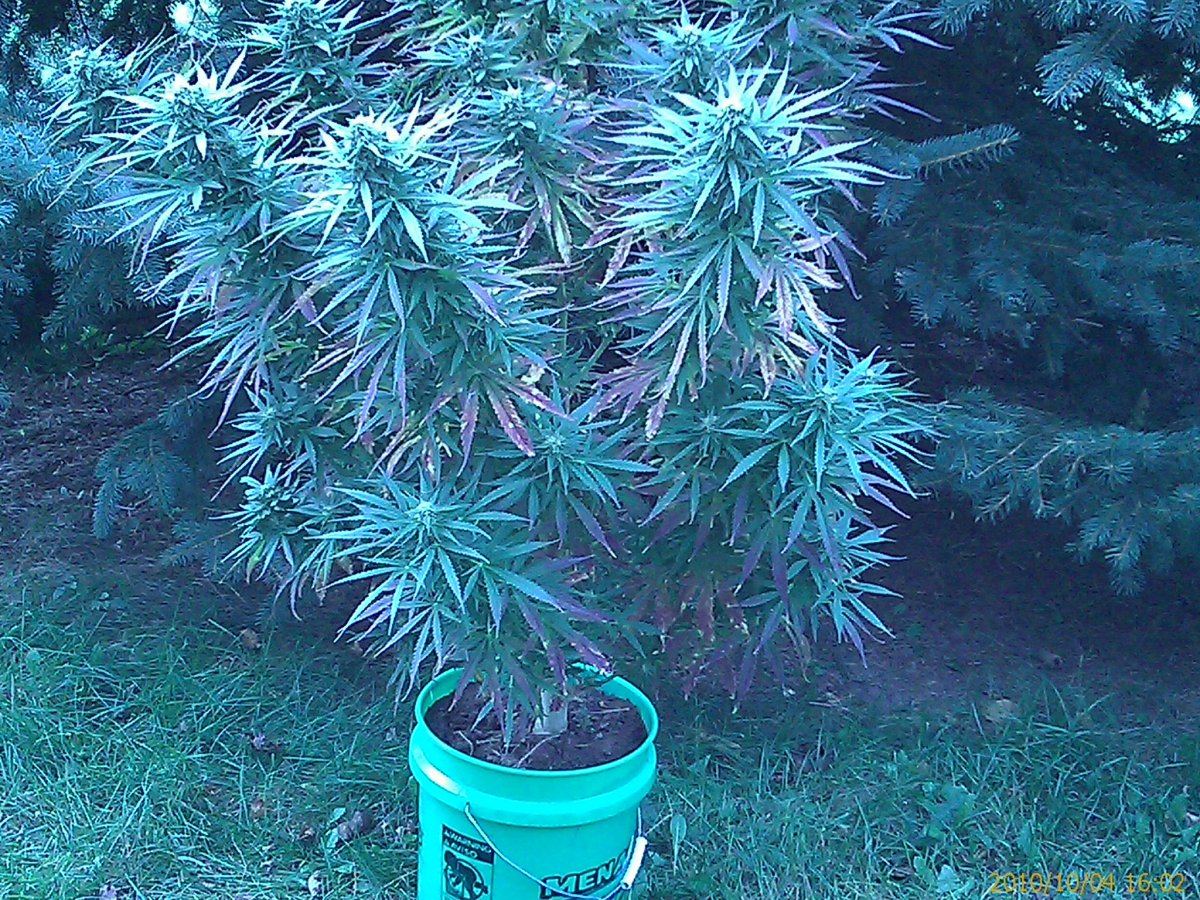 IMAG0346