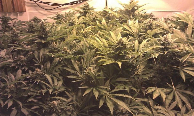 IMAG0360