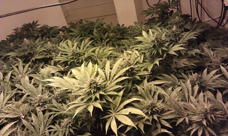 IMAG0363