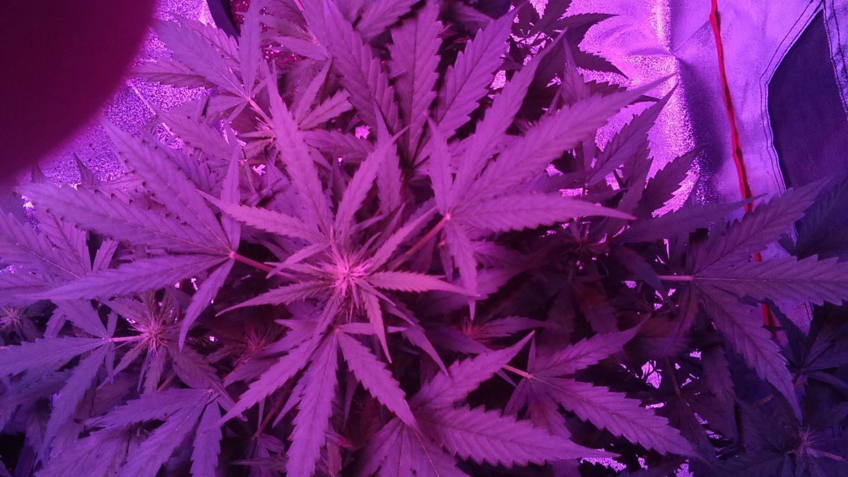 IMAG0363