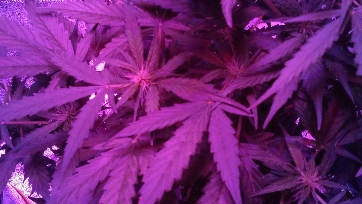 IMAG0365