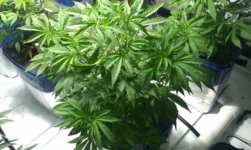 IMAG0373