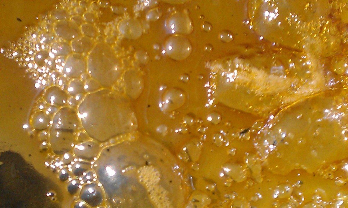 IMAG0387