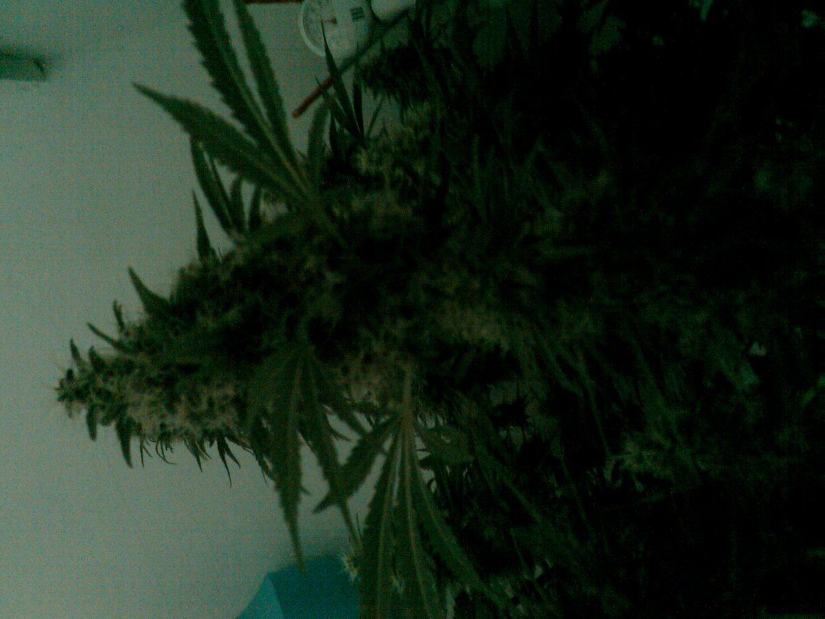 IMAG0405