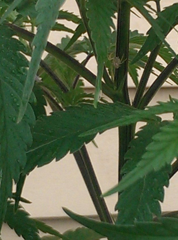 IMAG0413