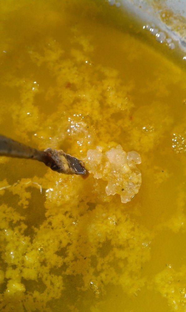 IMAG0448
