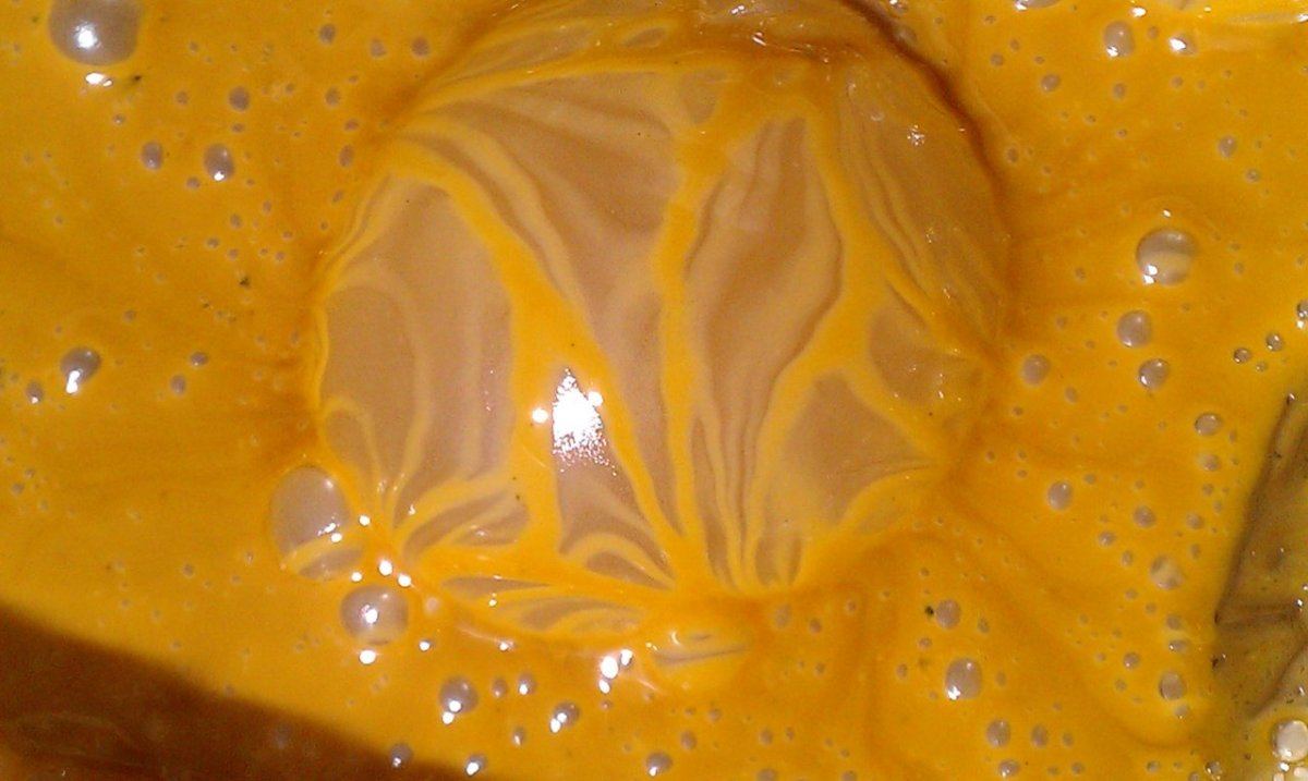 IMAG0457