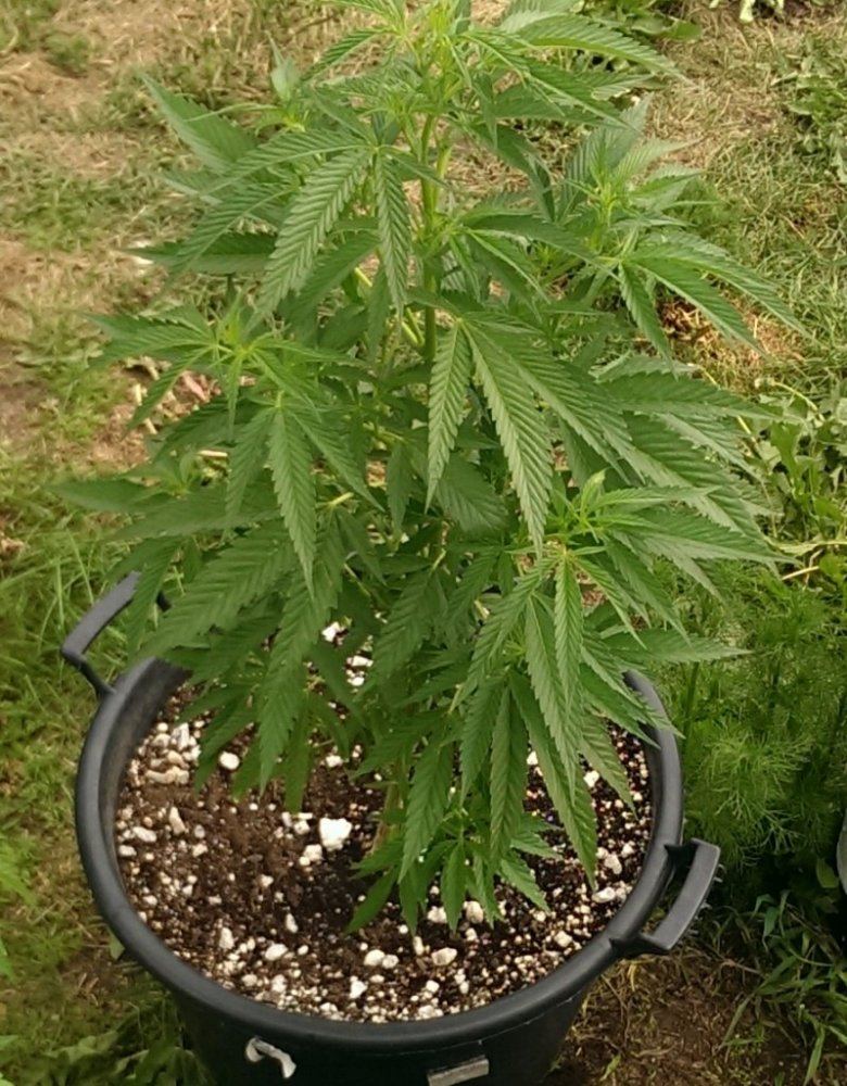 IMAG0457 1