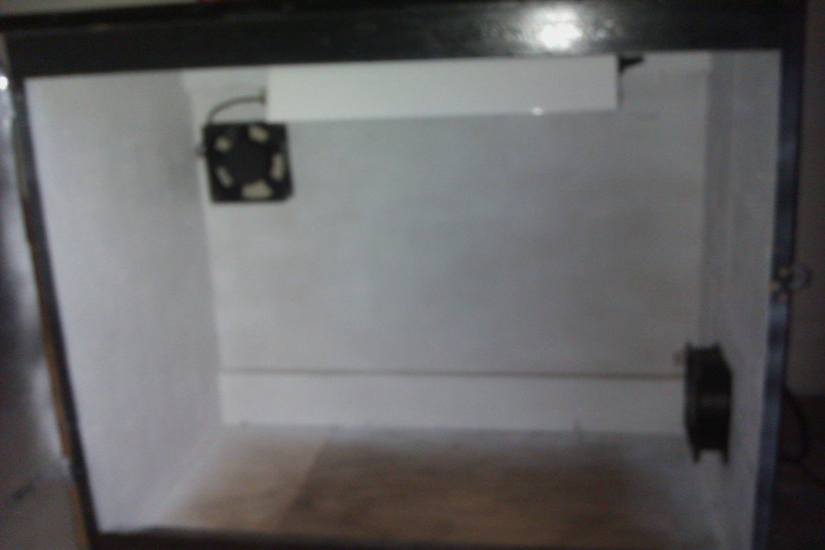 IMAG0458
