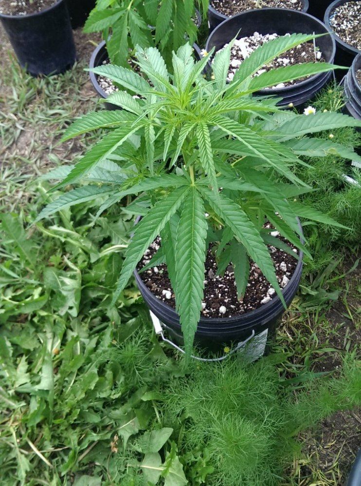 IMAG0459