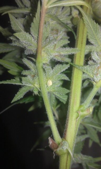 IMAG0460
