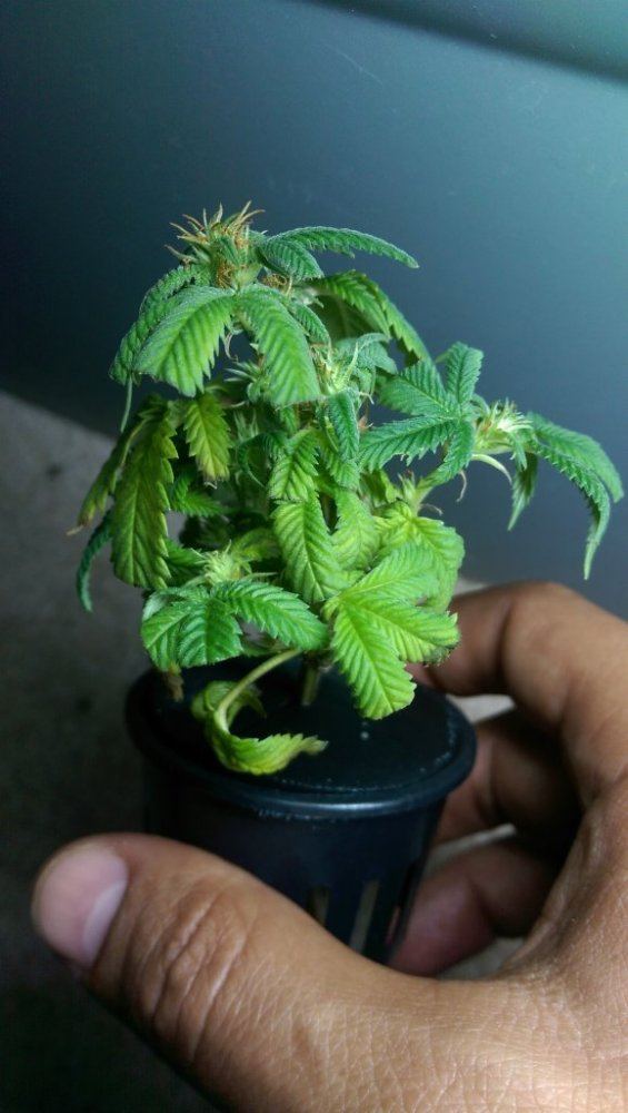 IMAG0463