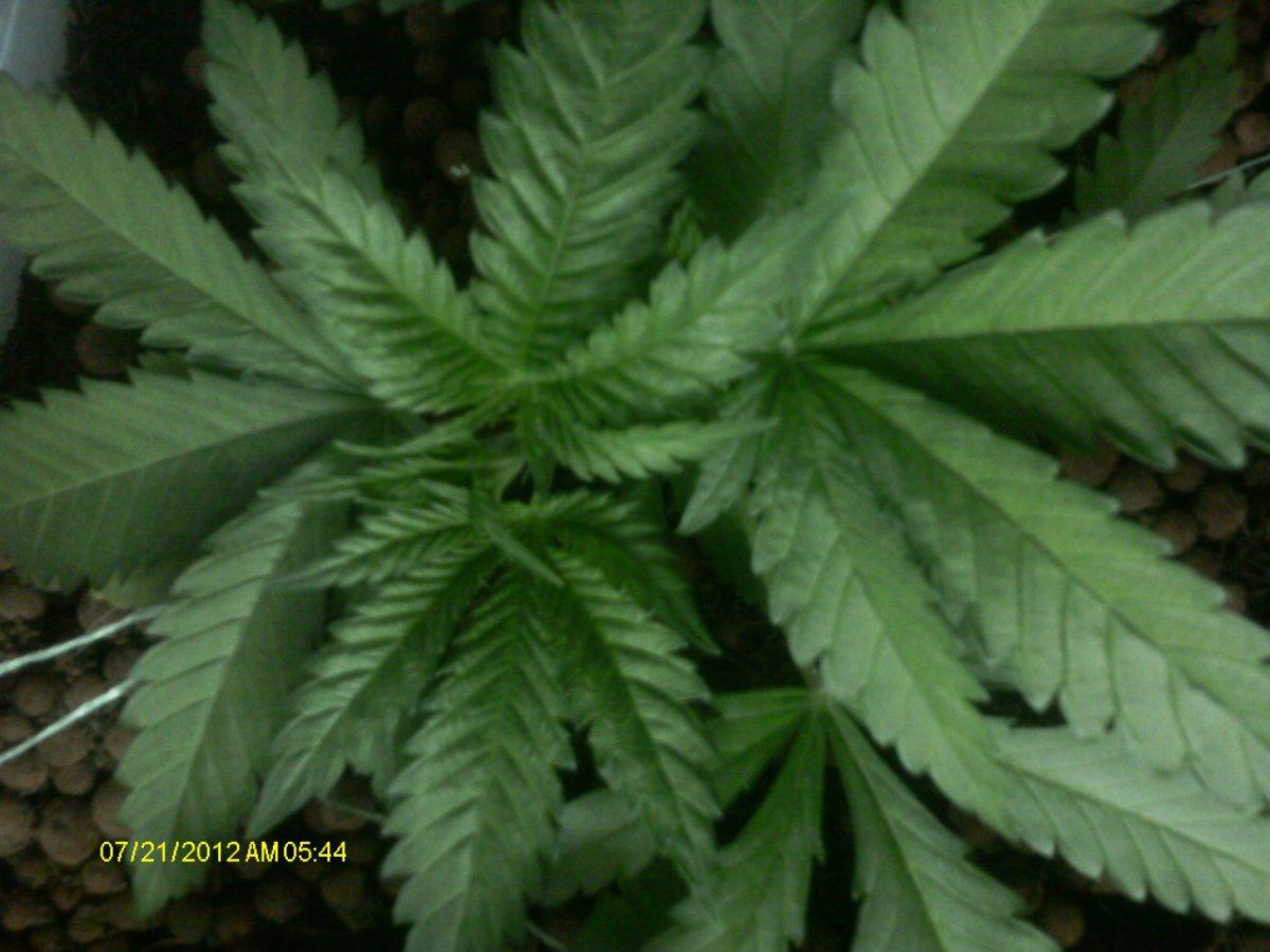 IMAG0465