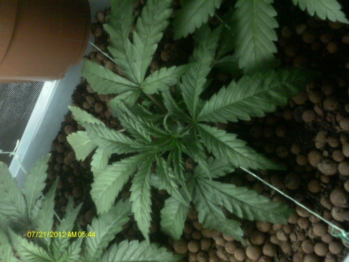IMAG0466