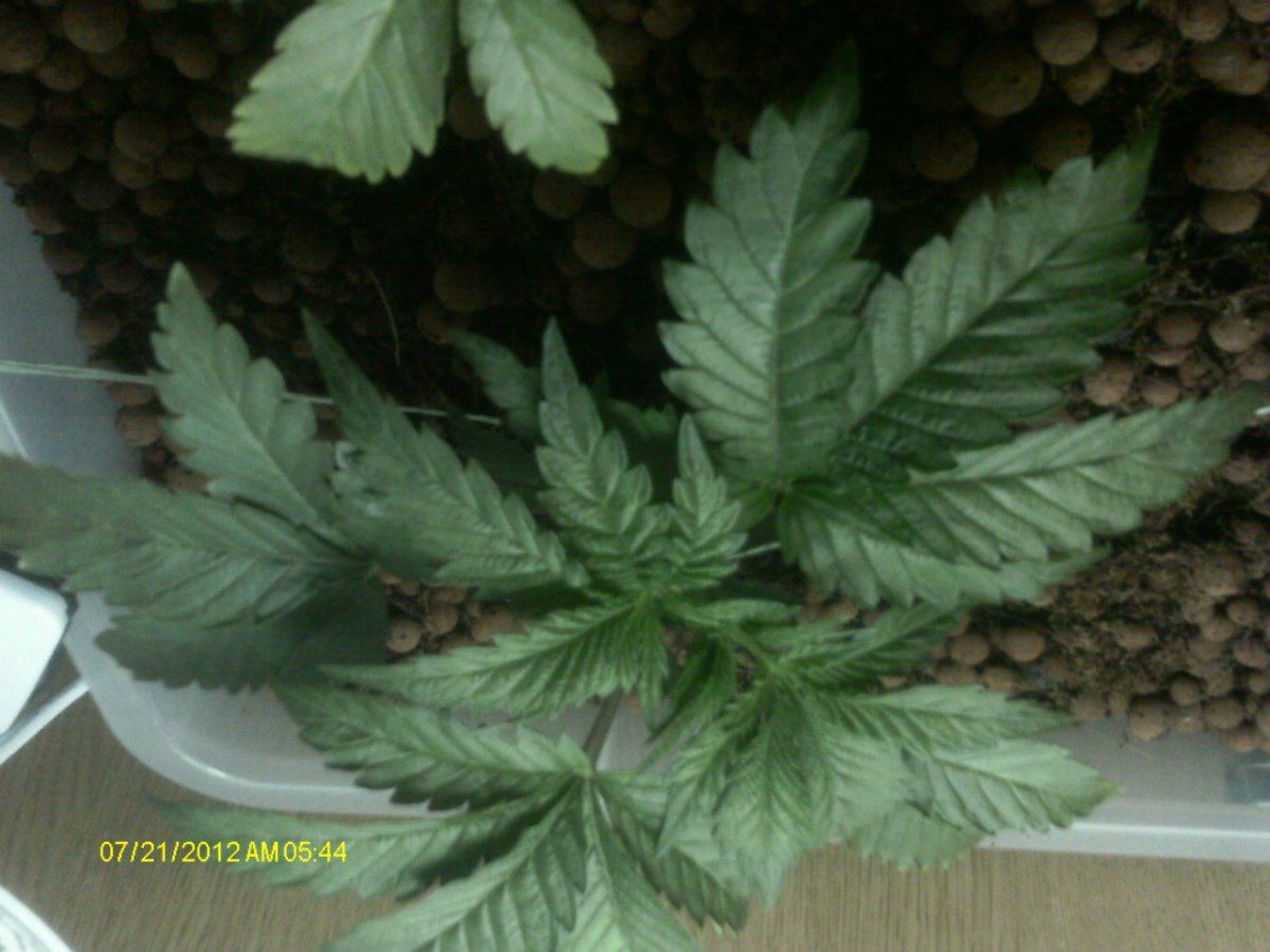 IMAG0469