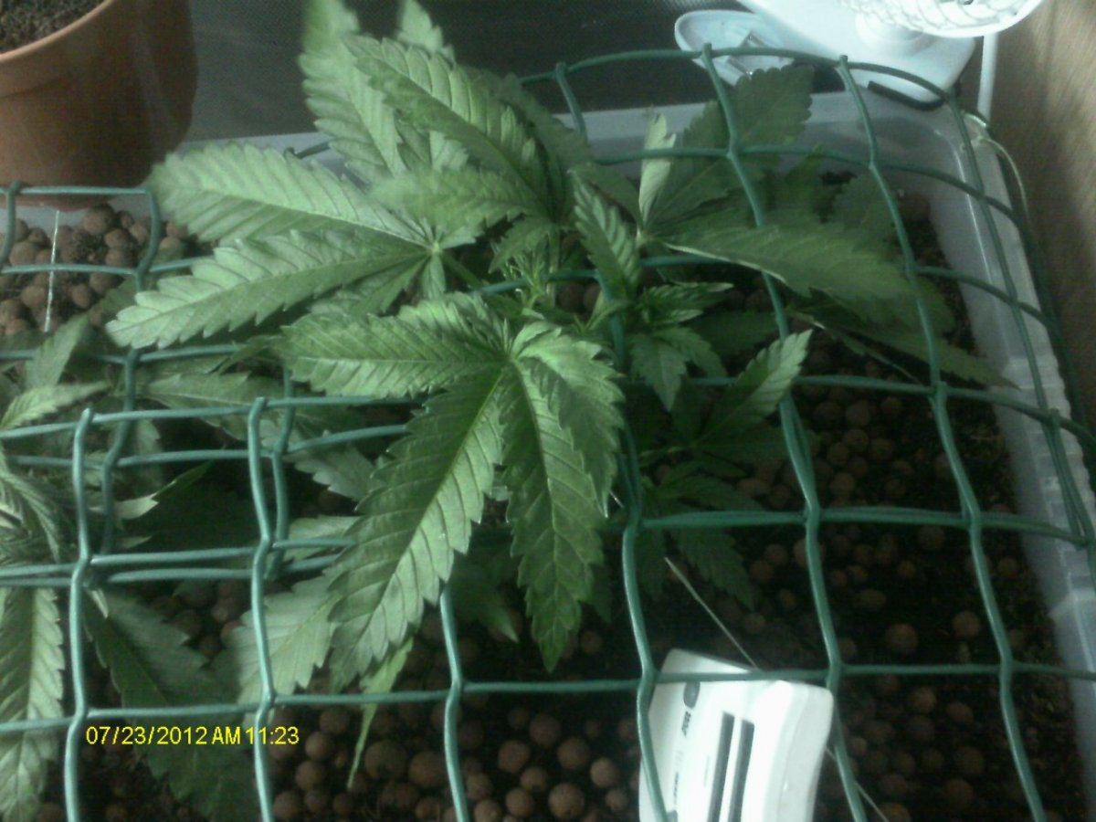 IMAG0471