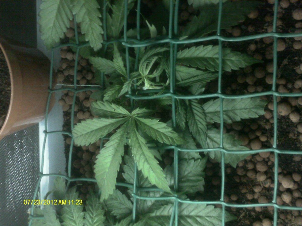 IMAG0472