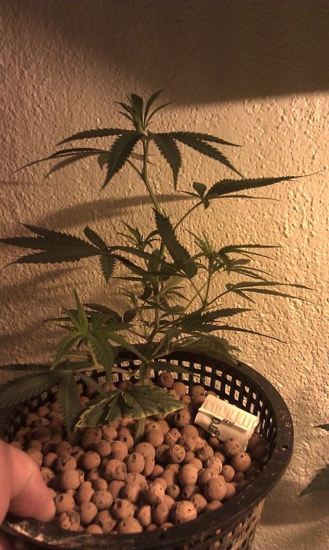 IMAG0473