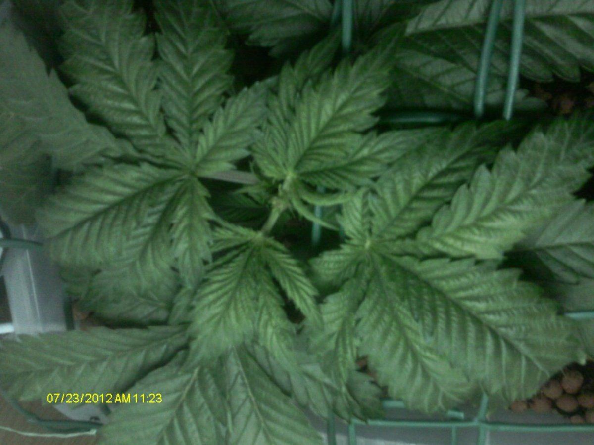 IMAG0474