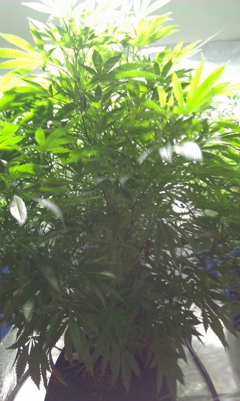 IMAG0476