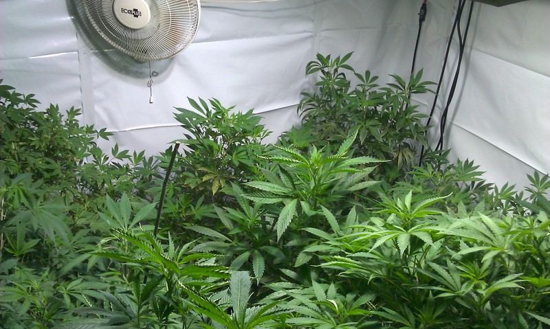 IMAG0477