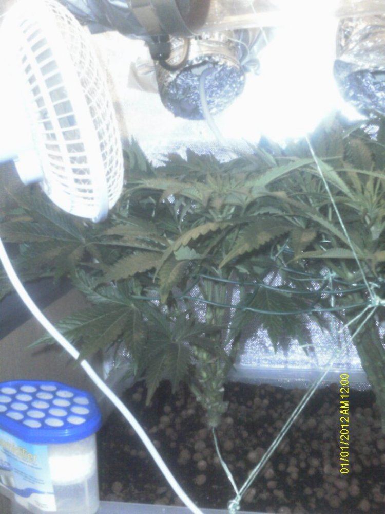IMAG0504